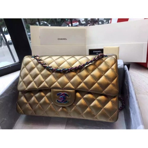 Chanel Bag 046